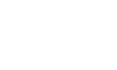 BiiSmart Group